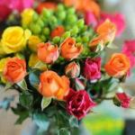 مرضیه مختار